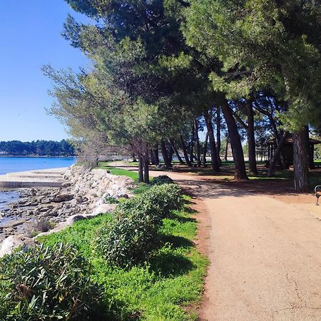 Apartments Novigrad Novigrad  Zewnętrze zdjęcie