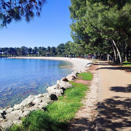 Apartments Novigrad Novigrad  Zewnętrze zdjęcie