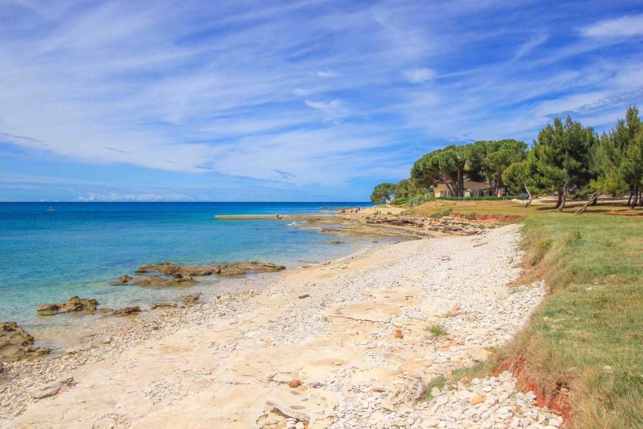 Apartments Novigrad Novigrad  Zewnętrze zdjęcie