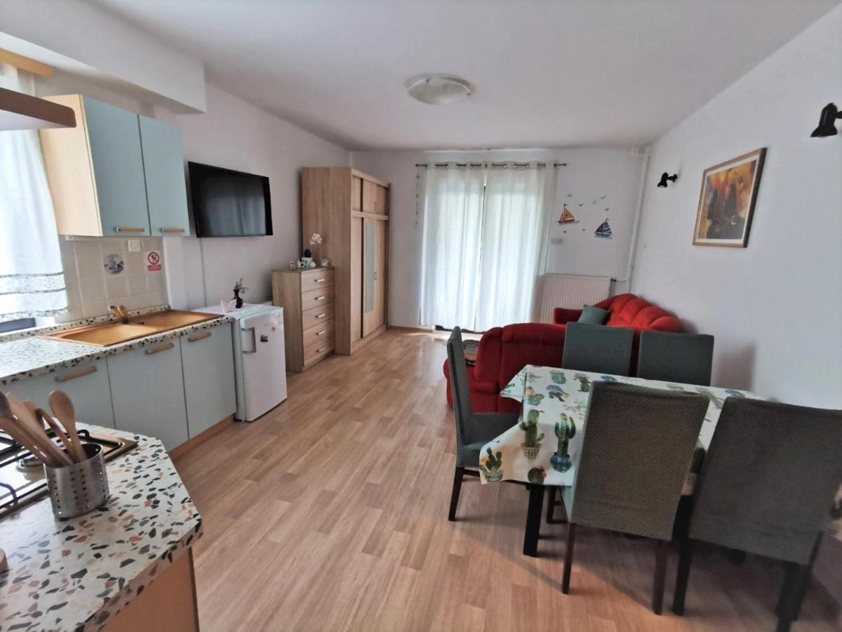 Apartments Novigrad Novigrad  Zewnętrze zdjęcie