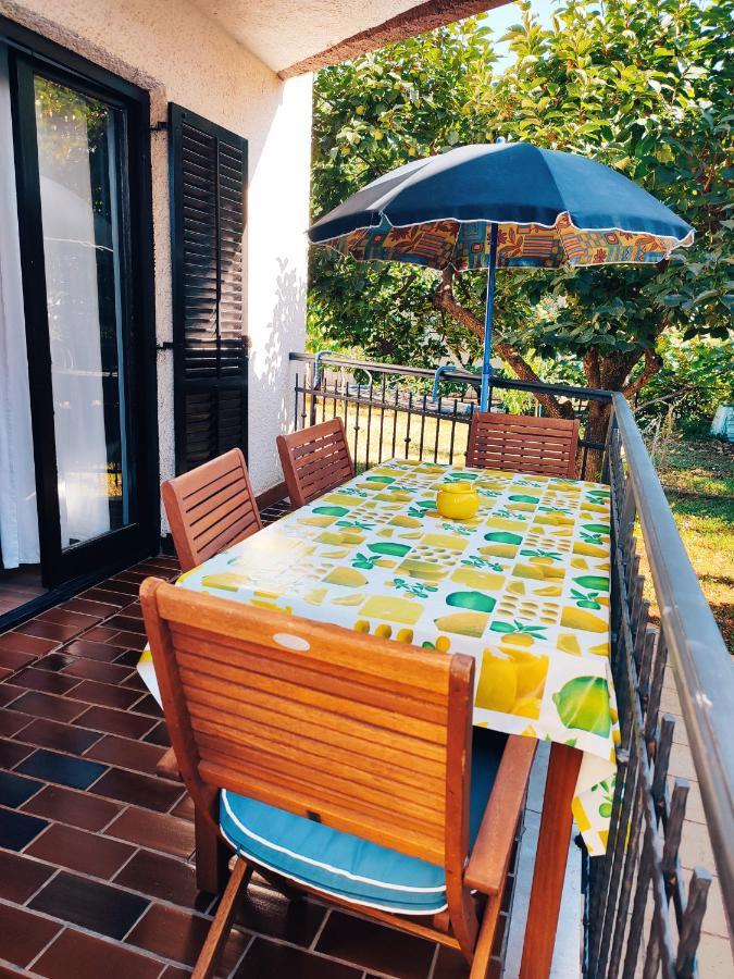 Apartments Novigrad Novigrad  Zewnętrze zdjęcie
