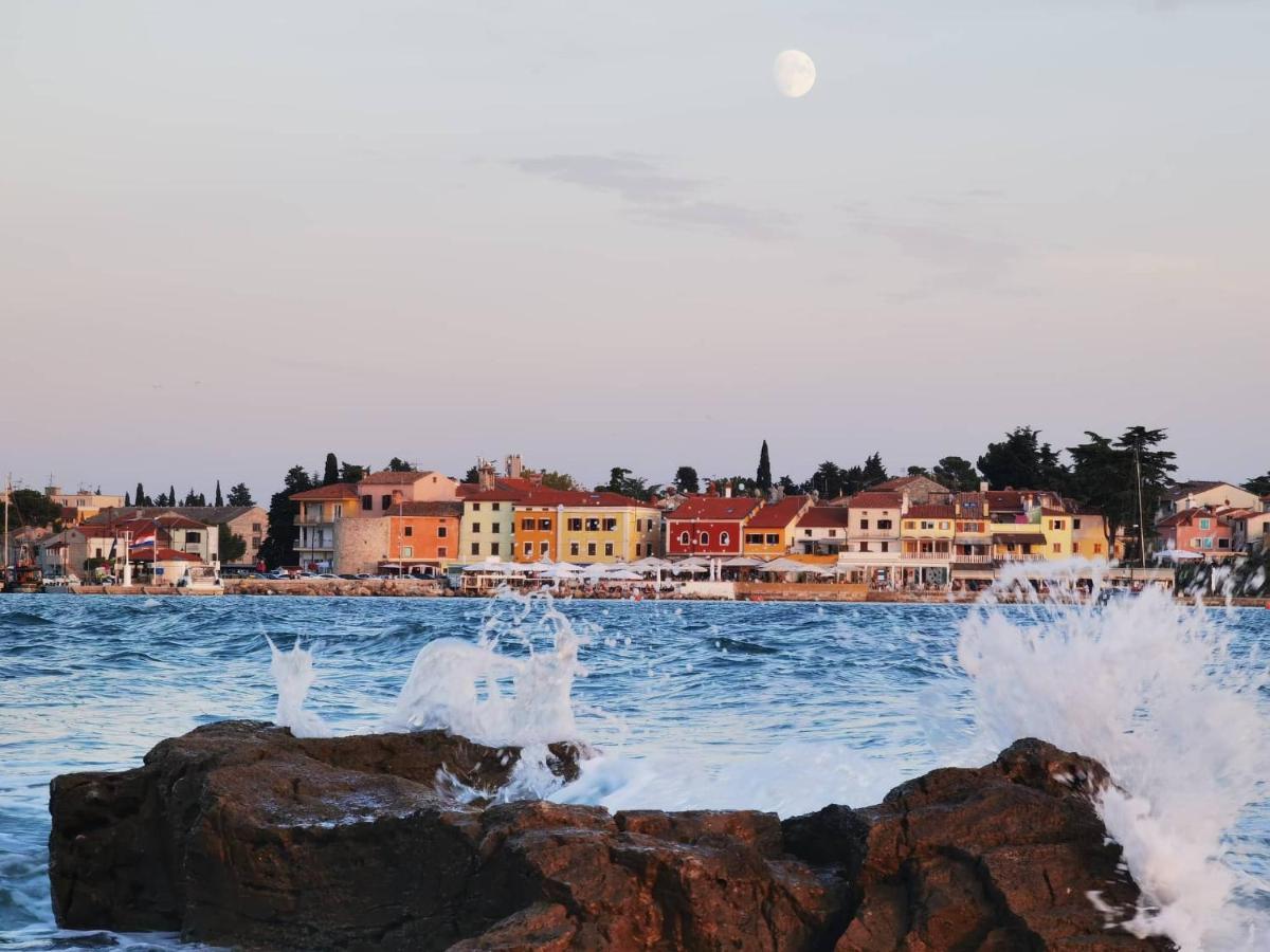 Apartments Novigrad Novigrad  Zewnętrze zdjęcie