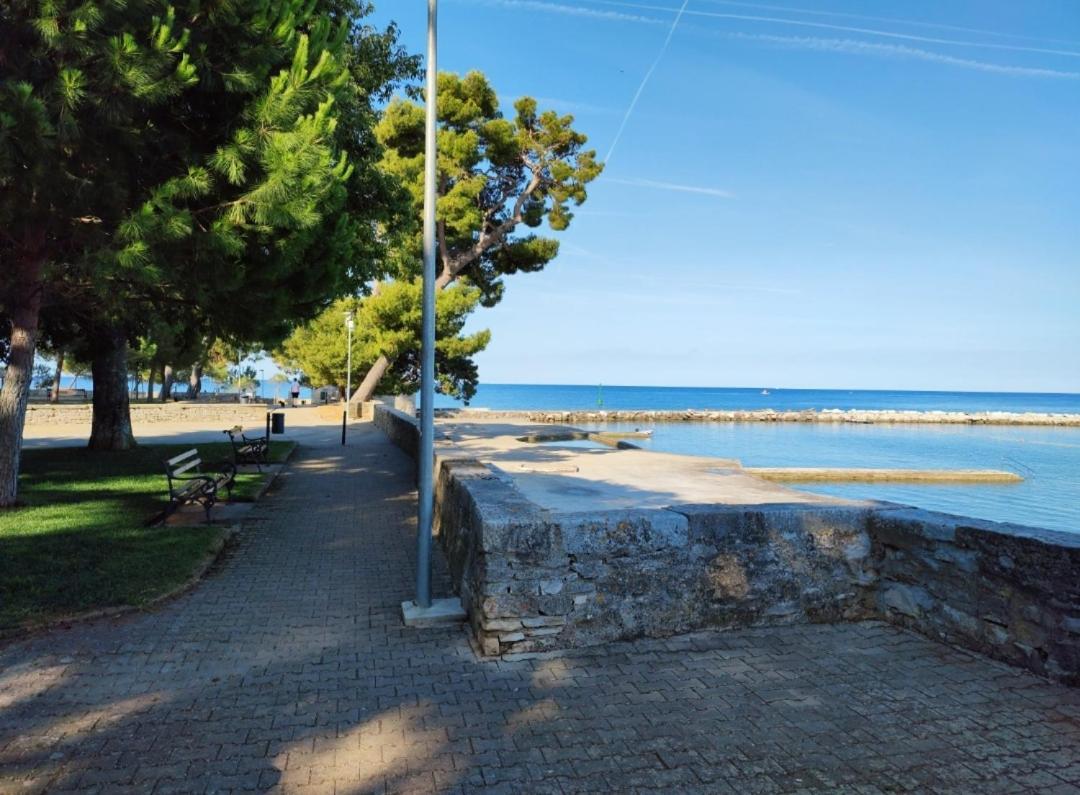 Apartments Novigrad Novigrad  Zewnętrze zdjęcie
