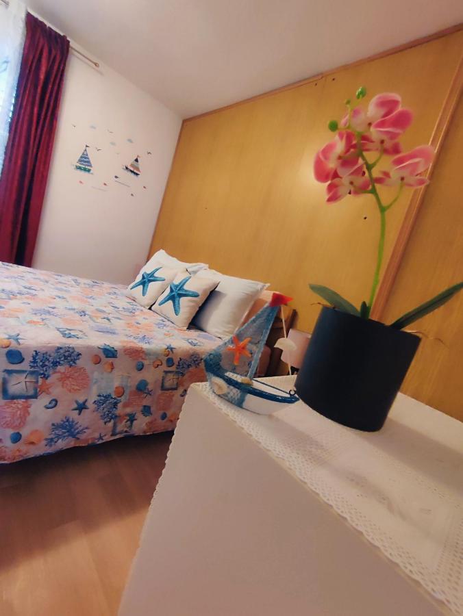Apartments Novigrad Novigrad  Zewnętrze zdjęcie