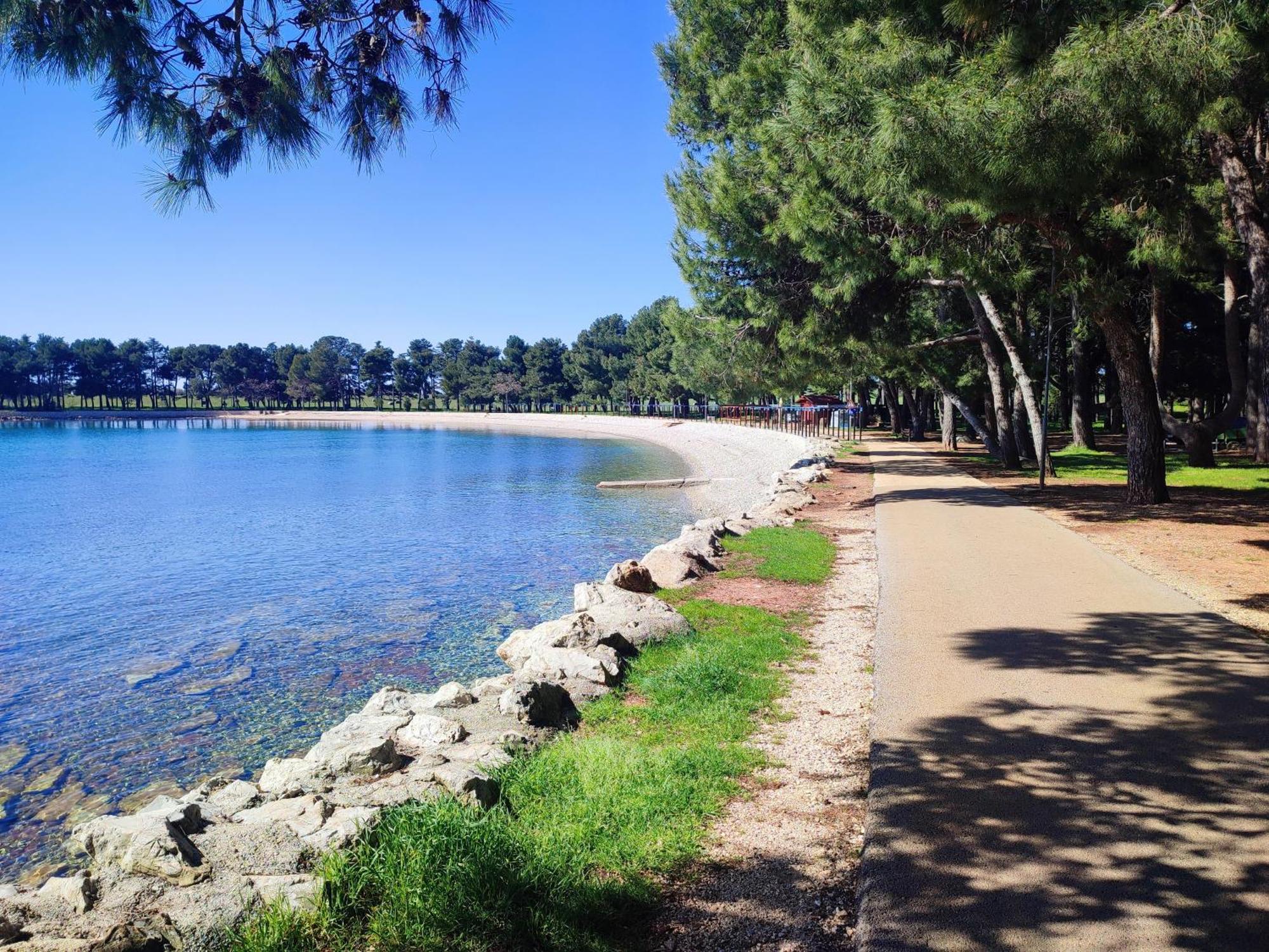 Apartments Novigrad Novigrad  Zewnętrze zdjęcie